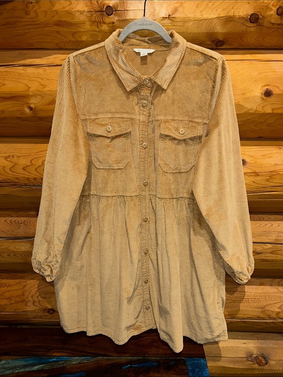 American Eagle Outfitters Dresses & Skirts - American Eagle NWOT Corduroy Babydoll Button Down Mini Size L Tall in Camel Tan